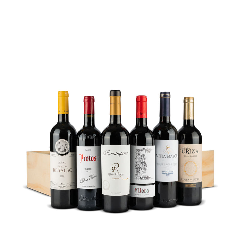 Estuche 105 | Selección Ribera del Duero